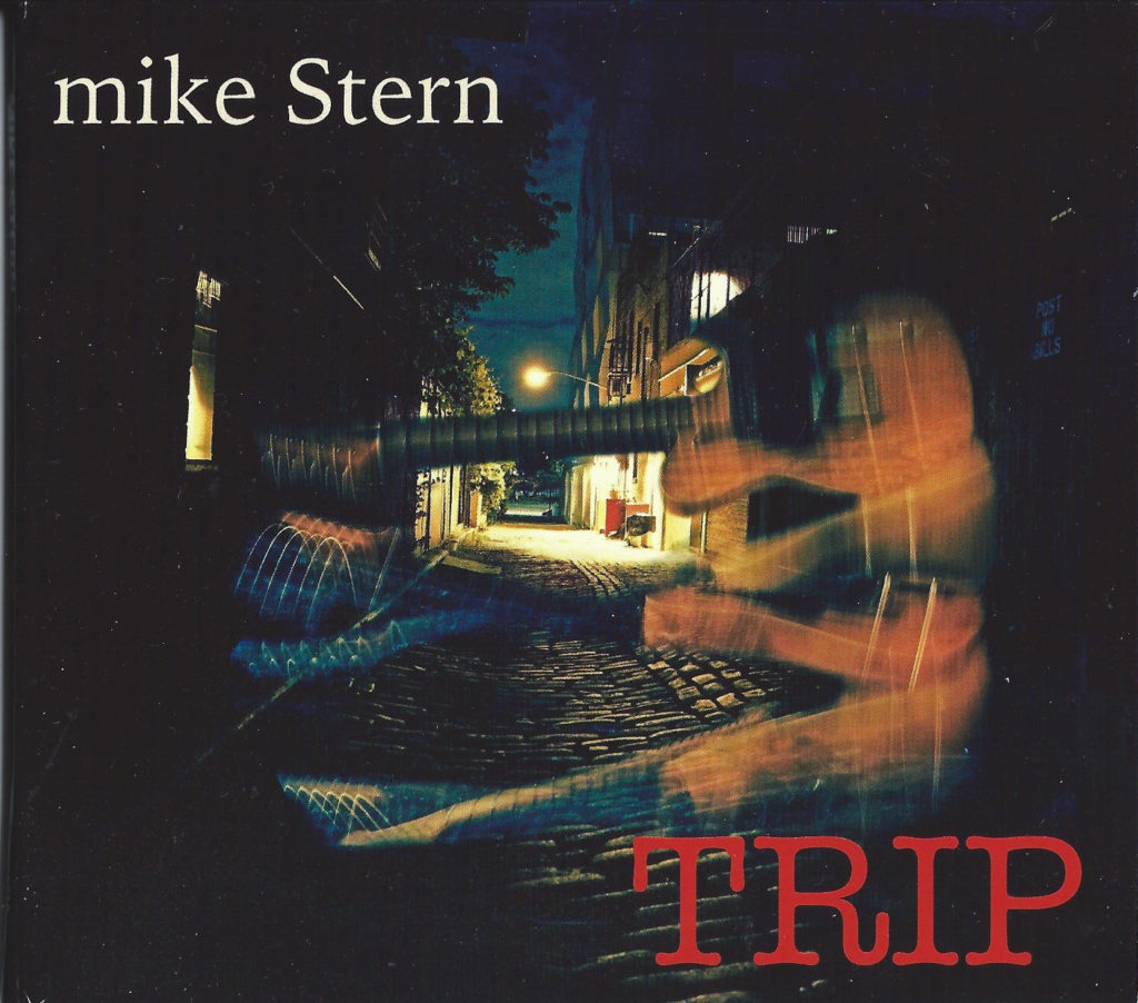 mike stern trip review