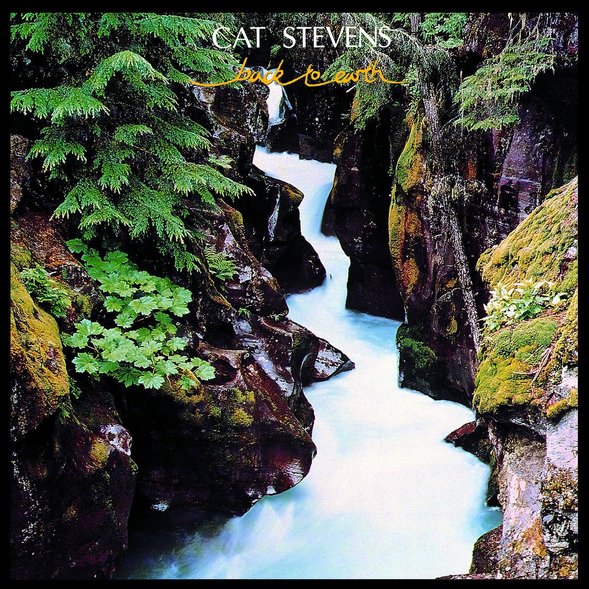 CAT STEVENS - Back To Earth