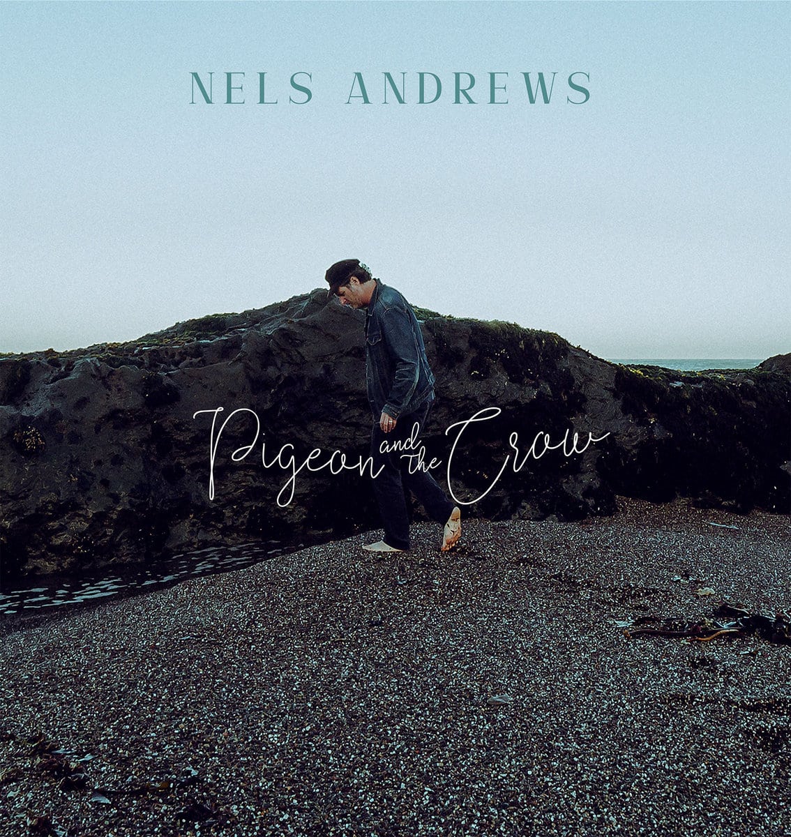 NELS ANDREWS - The Pigeon & The Crow