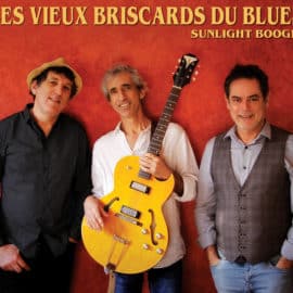 LES VIEUX BRISCARDS DU BLUES - Sunlight Boogie