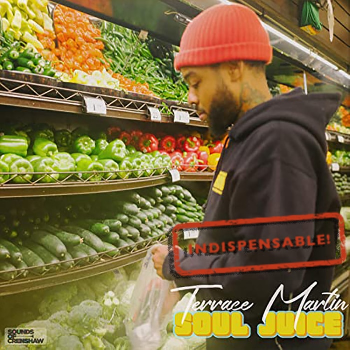 Terrace Martin – Soul Juice