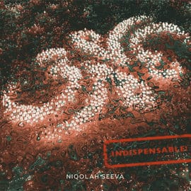 Niqolah Seeva - 3NE