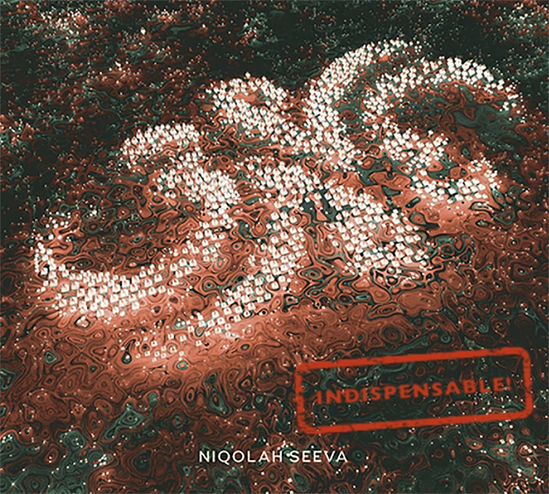 Niqolah Seeva - 3NE