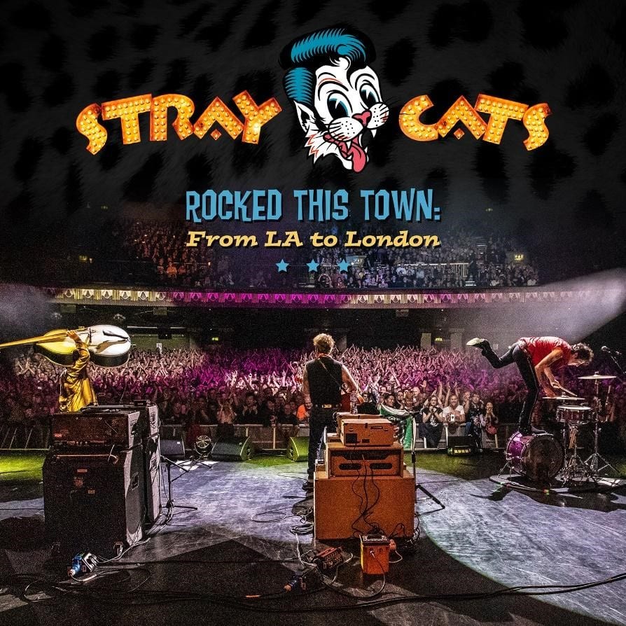 STRAY CATS