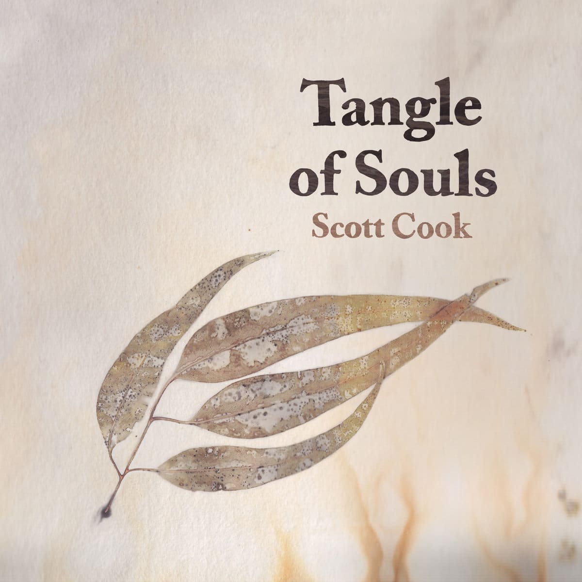 SCOTT COOK - Tangle Of Souls