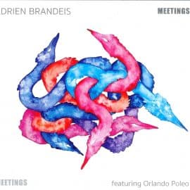 ADRIEN BRANDEIS - Meetings