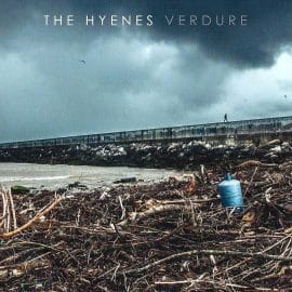 THE HYENES - Verdure