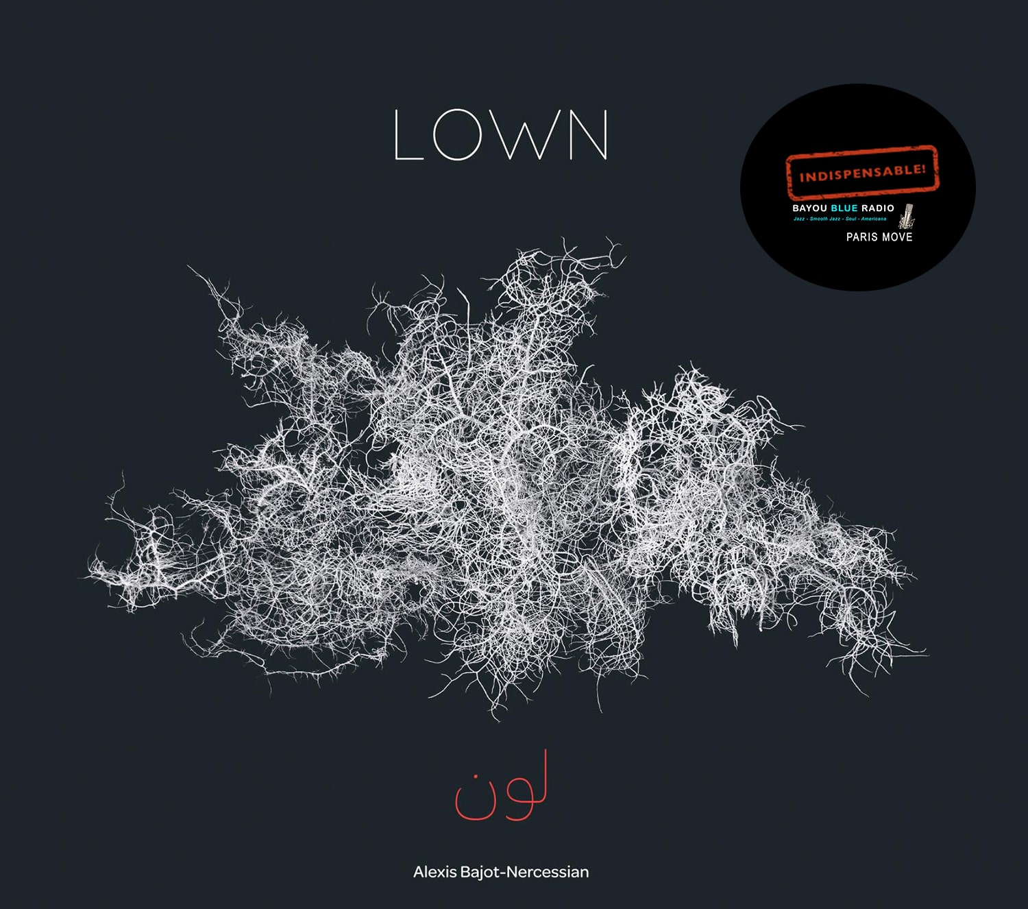 Voici le premier album du groupe Lown