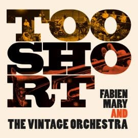 Fabien Mary and the Vintage Orchestra - Too Short