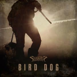 Bird Dog (1)