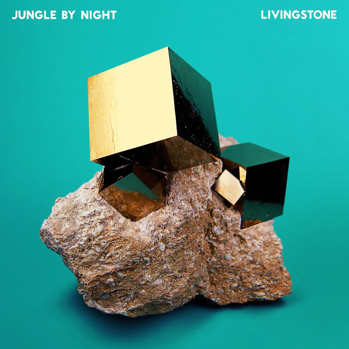 JUNGLE BY NIGHT - Livingstone
