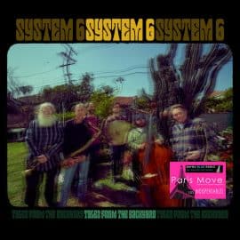 System 6 – Tales From The Backyard