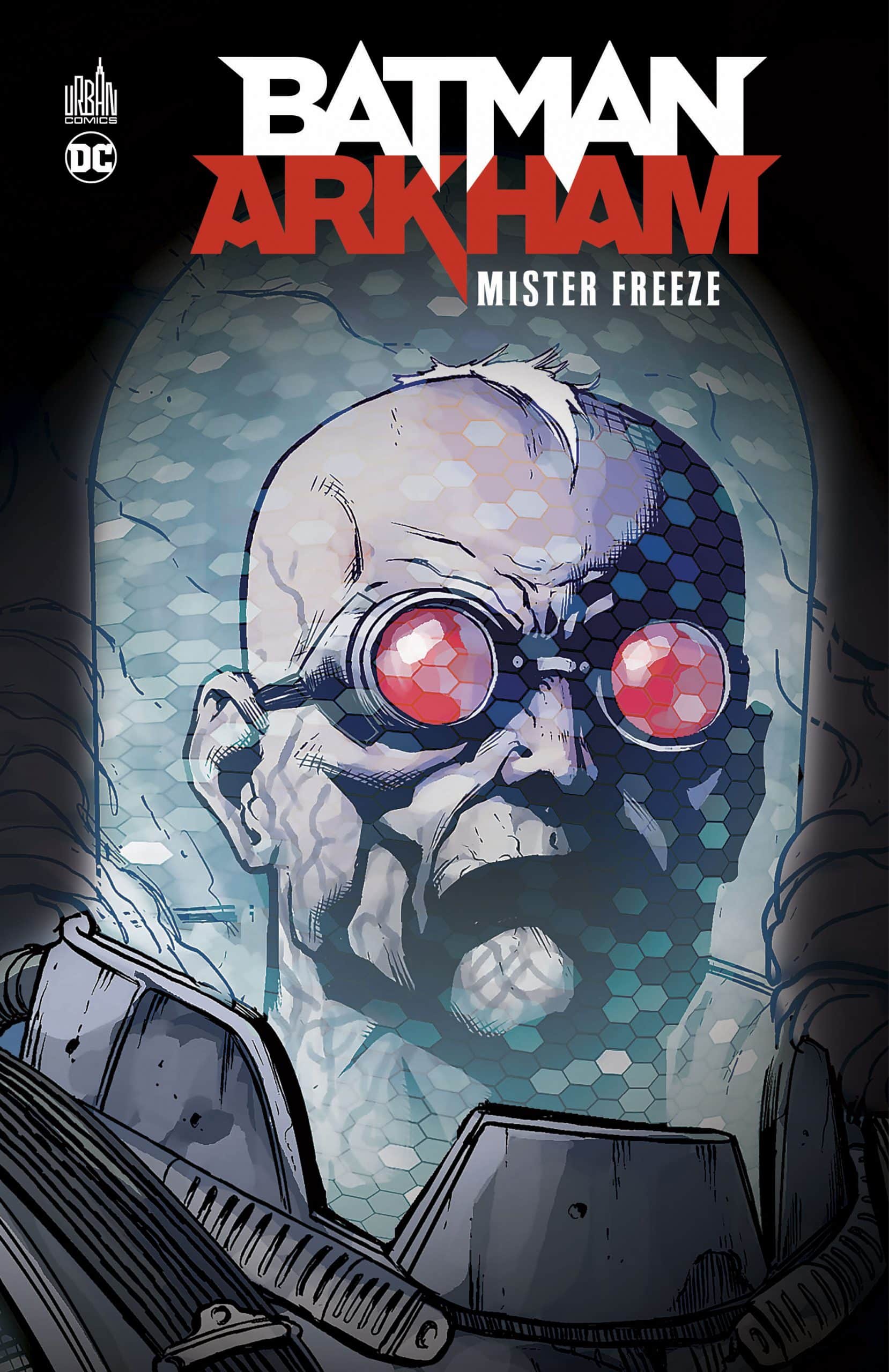 BATMAN ARKHAM - TOME 4 : MISTER FREEZE