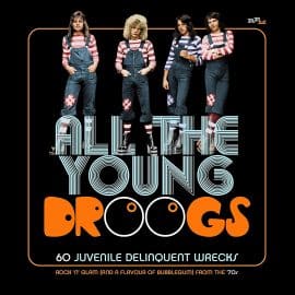 VARIOUS ARTISTS - All The Young Droogs