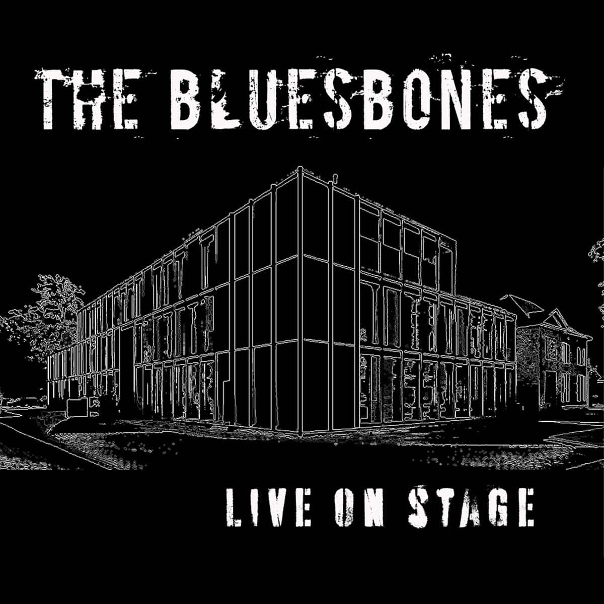 THE BLUESBONES - Live On Stage