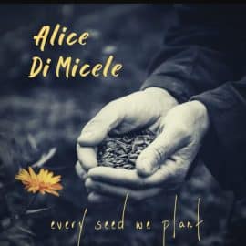 ALICE DiMICELE - Every Seed We Plant