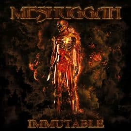 MESHUGGAH