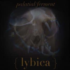 Lybica