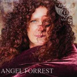 ANGEL FORREST - Angel's 11 Vol.II
