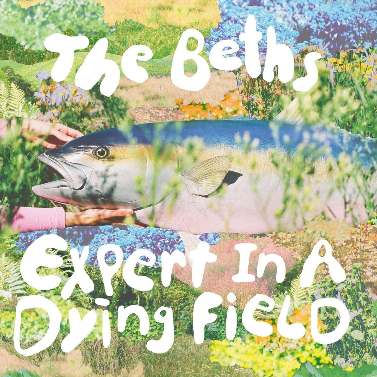 THE BETHS - Expert in A Dying Field