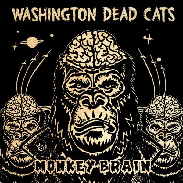 Washington Dead Cats