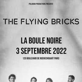 FLYING BRICKS