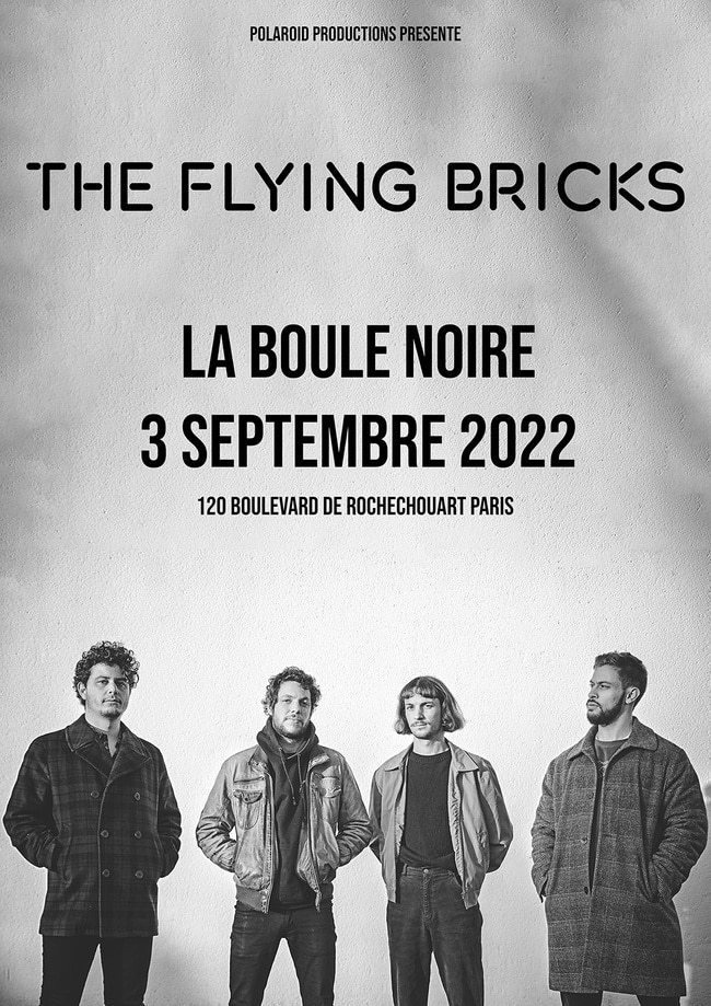 FLYING BRICKS