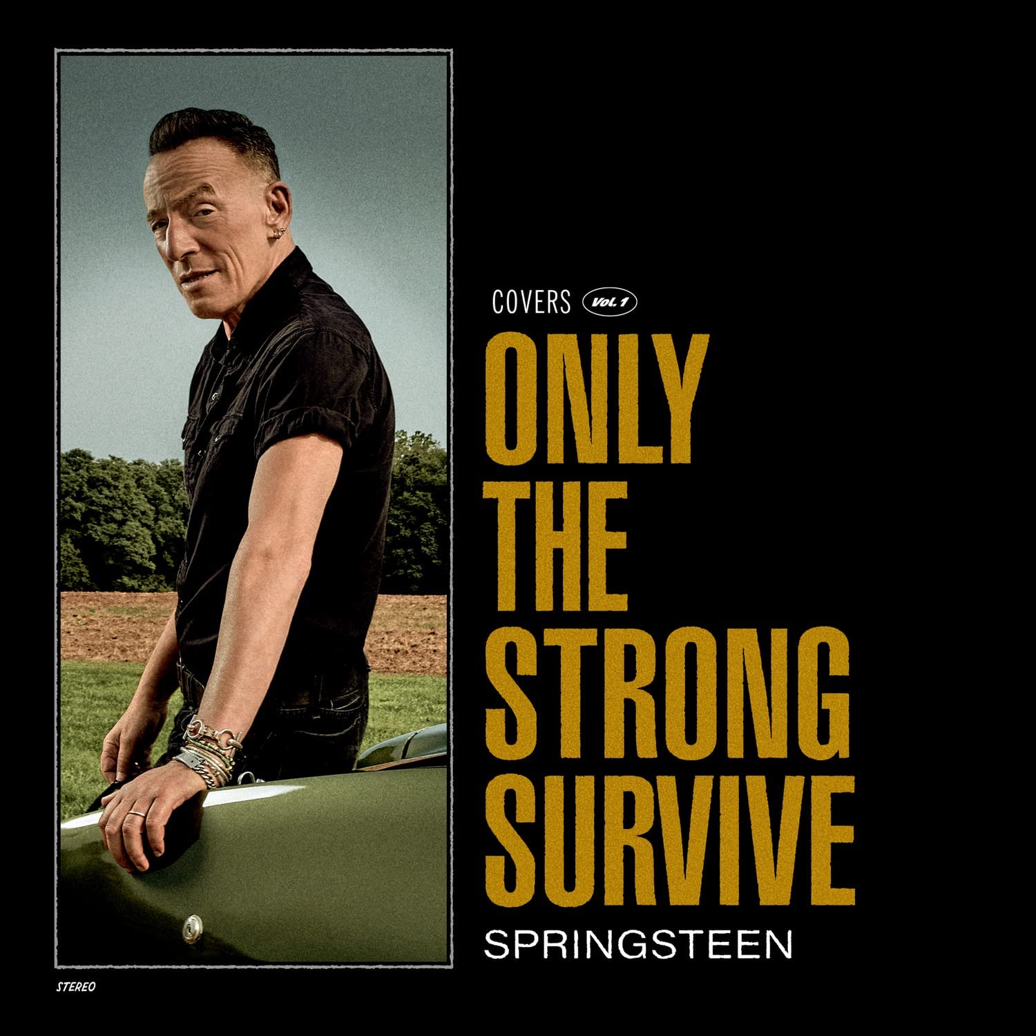 BRUCE SPRINGSTEEN - Only The Strong Survive