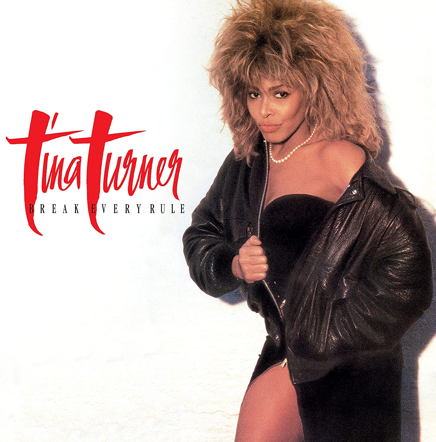 TINA TURNER - Break Every Rule