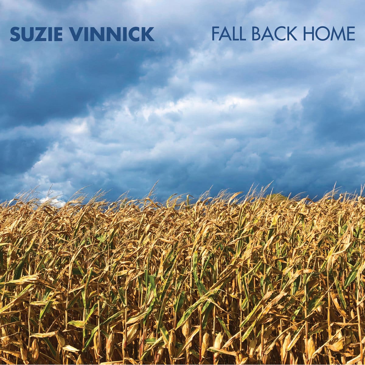 SUZIE VINNICK - Fall Back Home