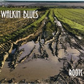WALKIN' BLUES - Roots