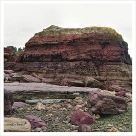 EVE RISSER RED DESERT ORCHESTRA - Eurythmia
