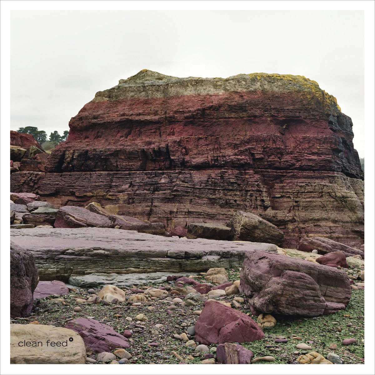 EVE RISSER RED DESERT ORCHESTRA - Eurythmia