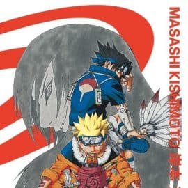 NARUTO (EDITION HOKAGE) T. 04