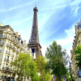 Best French immersion courses in France