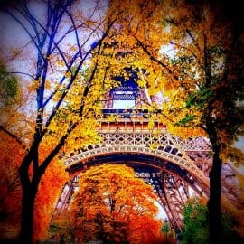 Learn French in France in Paris at ACCORD French language school