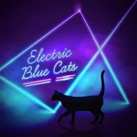 Electric Blue Cats
