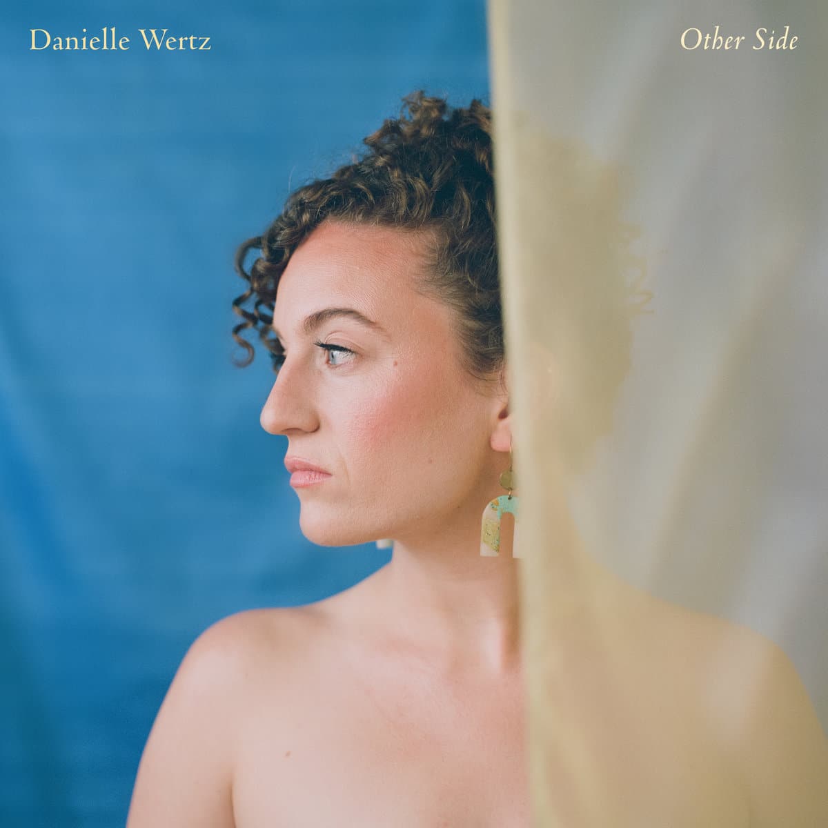 Danielle Wertz – Other Side