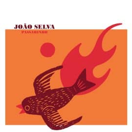 JOAO SELVA - Passarinho