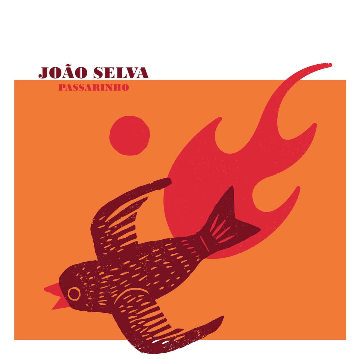 JOAO SELVA - Passarinho