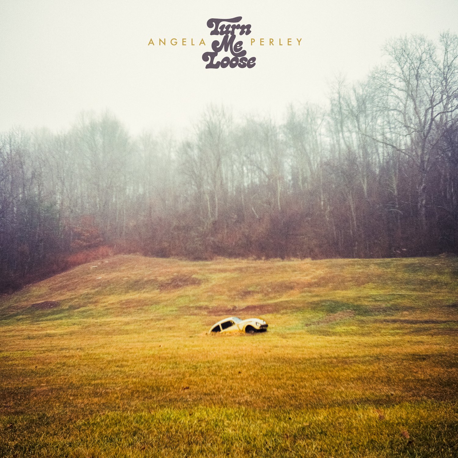 ANGELA PERLEY - Turn Me Loose