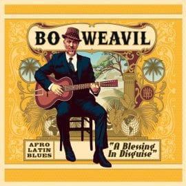 BO WEAVIL - A BLESSING IN DISGUISE