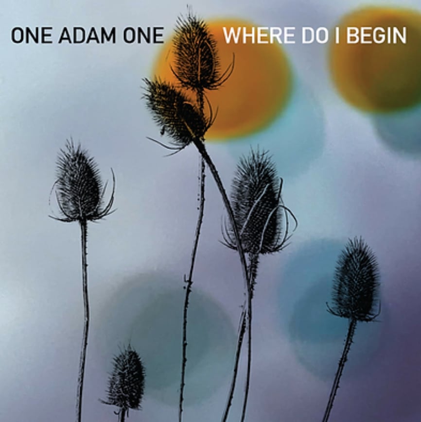 ONE ADAM ONE - Where Do I Begin