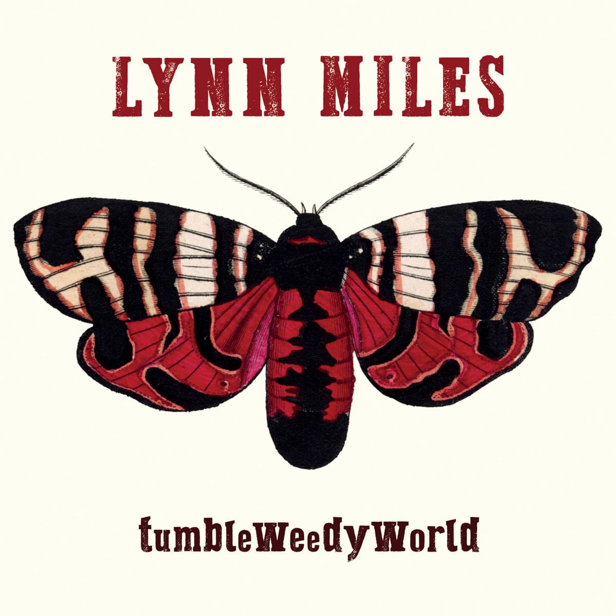 LYNN MILES - TumbleWeedyWorld
