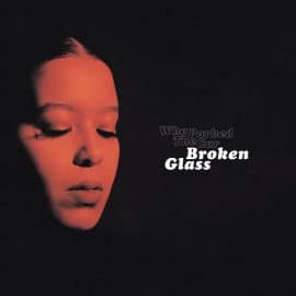 WHO PARKED THE CAR - Broken Glass