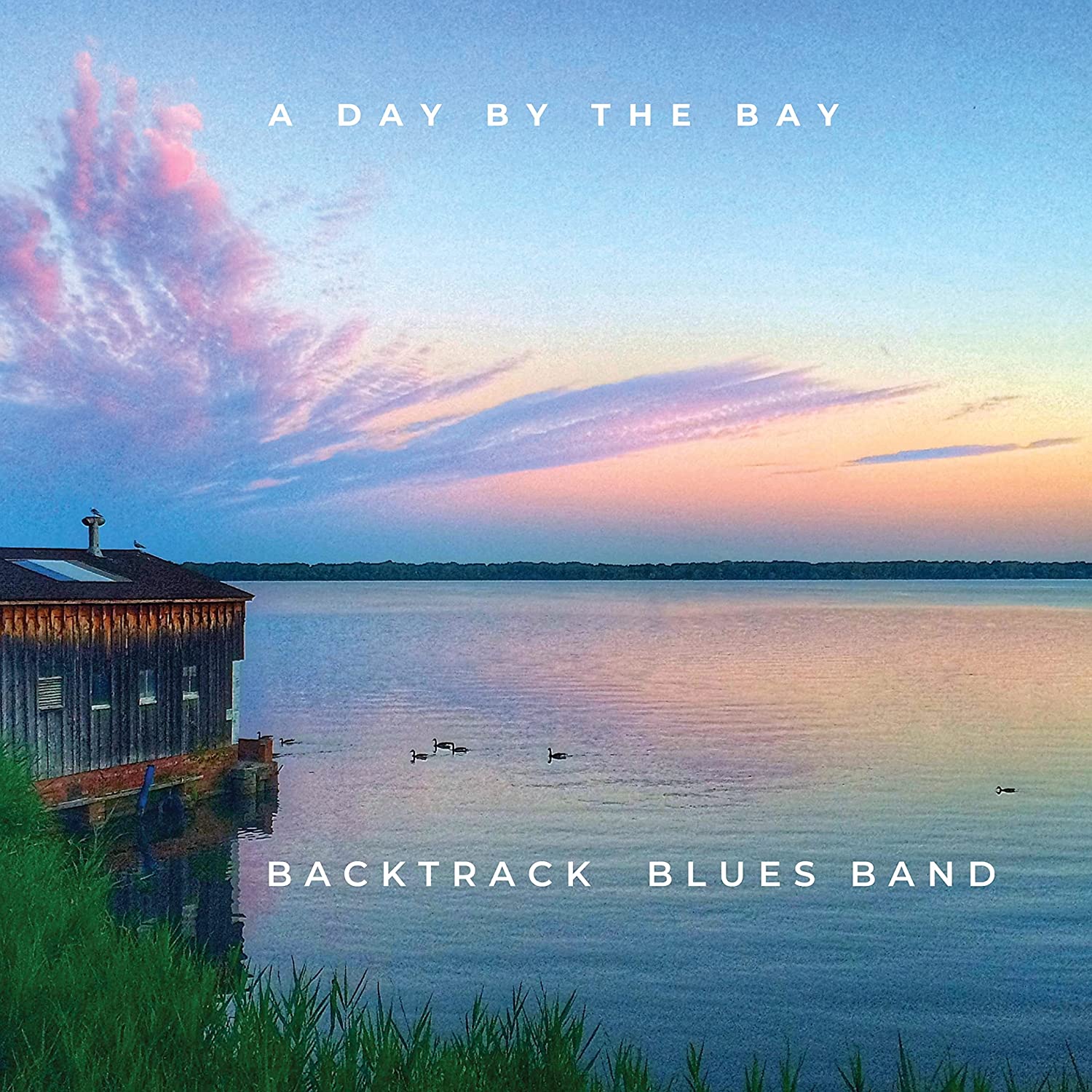 BACKTRACK BLUES BAND - A Day By The Bay