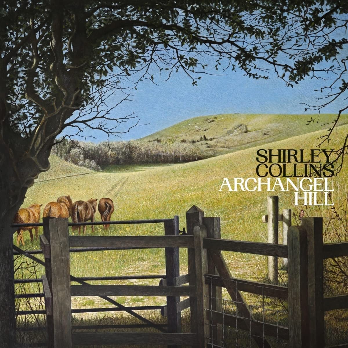 SHIRLEY COLLINS - Archangel Hill