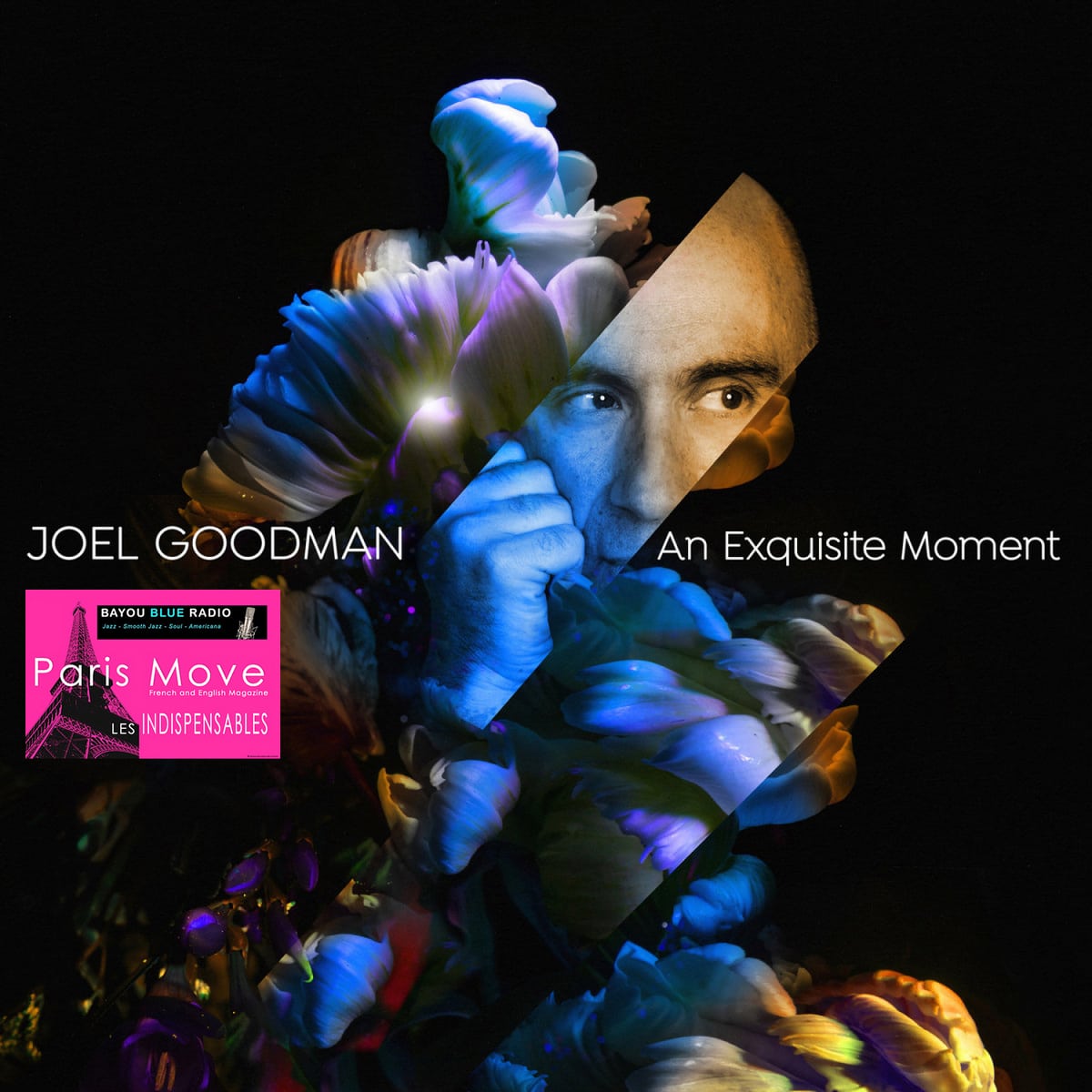 Joel Goodman – An Exquisite Moment (FR review)