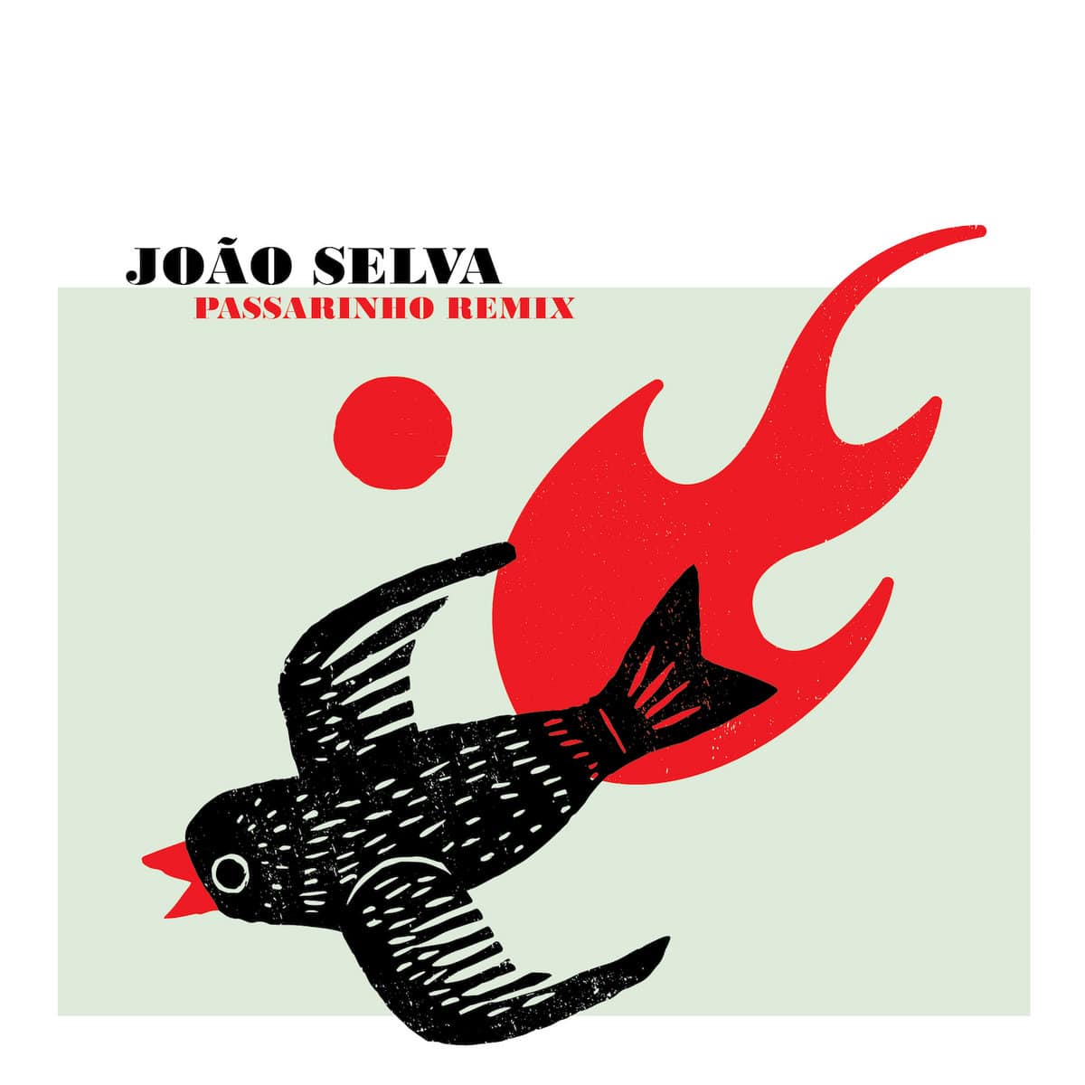 JOÂO SELVA - Passarinho Remix