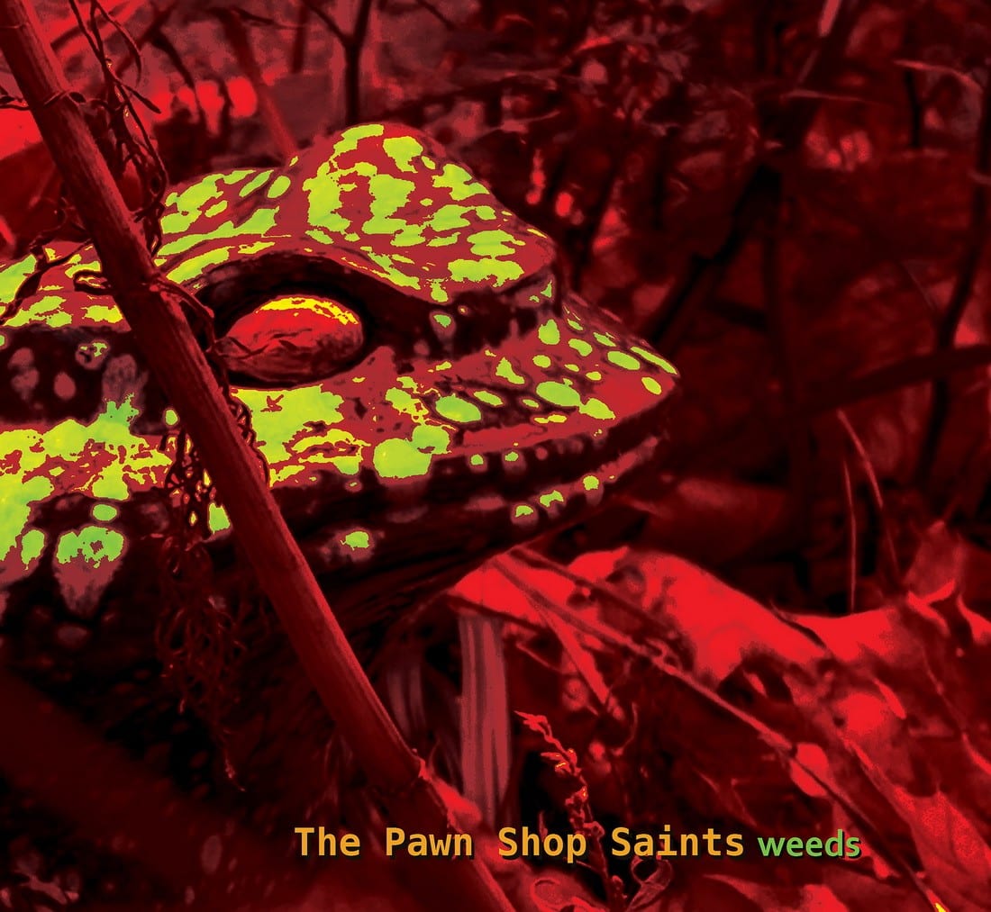 THE PAWN SHOP SAINTS - Weeds